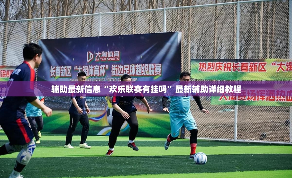 辅助最新信息“欢乐联赛有挂吗”最新辅助详细教程