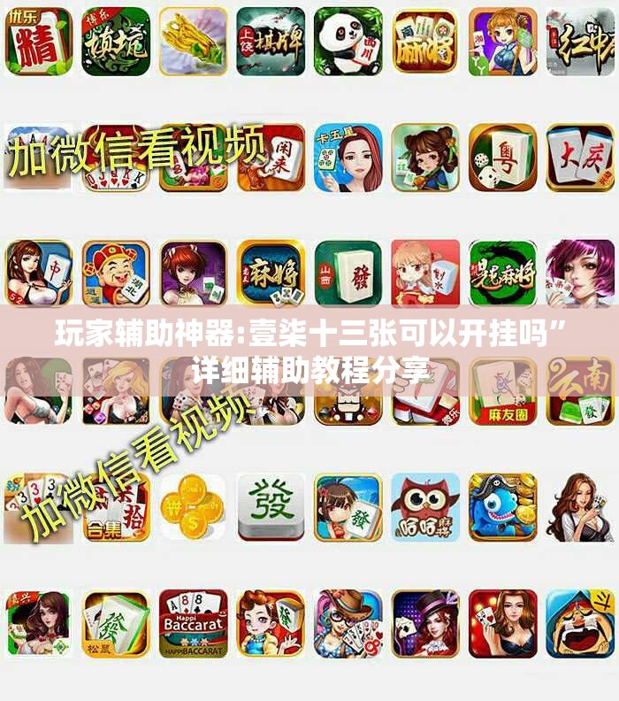 玩家辅助神器:壹柒十三张可以开挂吗”详细辅助教程分享