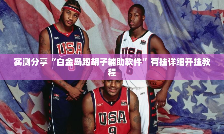 实测分享“白金岛跑胡子辅助软件”有挂详细开挂教程