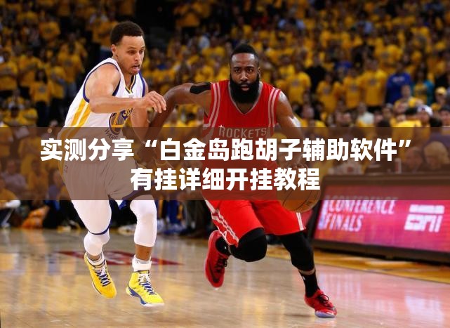 实测分享“白金岛跑胡子辅助软件”有挂详细开挂教程