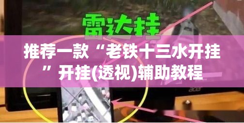 推荐一款“老铁十三水开挂”开挂(透视)辅助教程