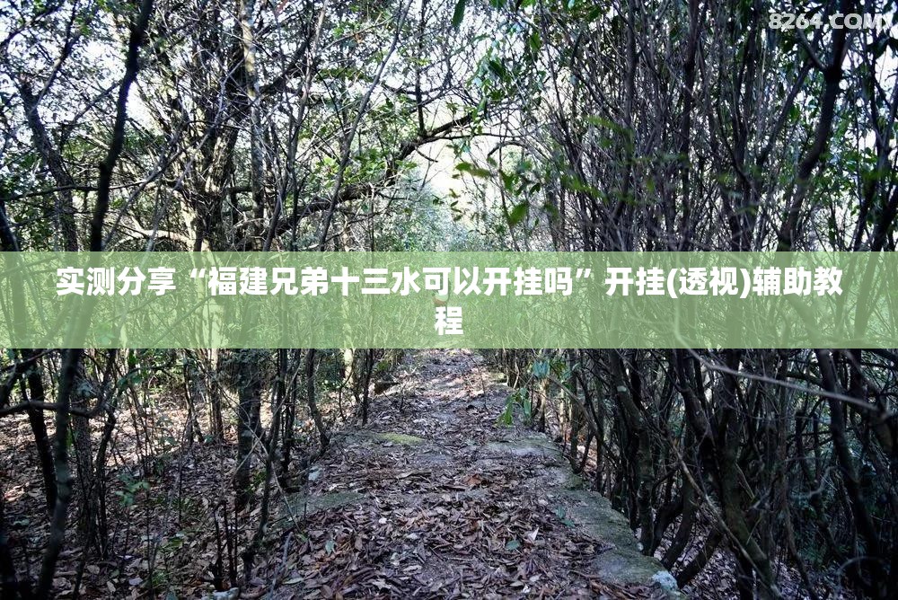 实测分享“福建兄弟十三水可以开挂吗	”开挂(透视)辅助教程