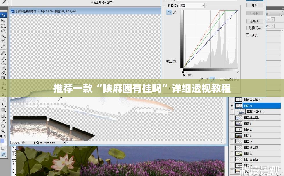 推荐一款“陕麻圈有挂吗”详细透视教程