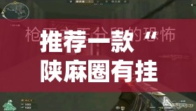 推荐一款“陕麻圈有挂吗”详细透视教程