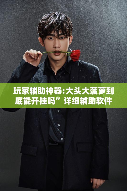 玩家辅助神器:大头大菠萝到底能开挂吗”详细辅助软件教程
