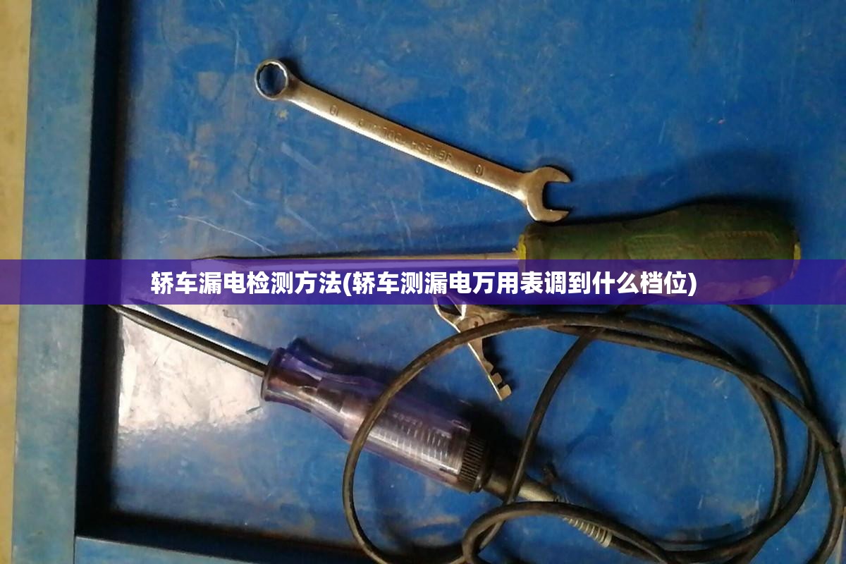 轿车漏电检测方法(轿车测漏电万用表调到什么档位) 轿车漏电检测方法(轿车测漏电万用表调到什么档位)