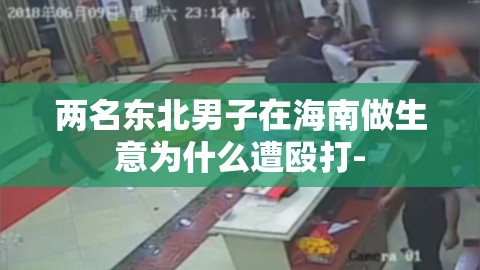 两名东北男子在海南做生意为什么遭殴打- 两名东北男子在海南做生意为什么遭殴打-