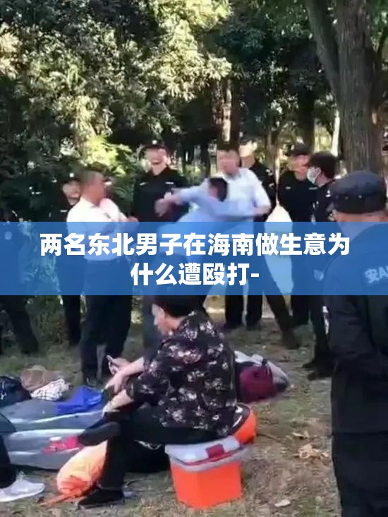 两名东北男子在海南做生意为什么遭殴打- 两名东北男子在海南做生意为什么遭殴打-