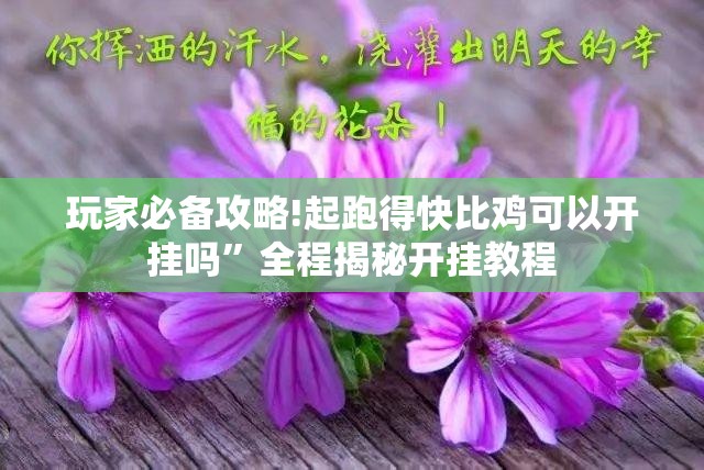 玩家必备攻略!起跑得快比鸡可以开挂吗	”全程揭秘开挂教程