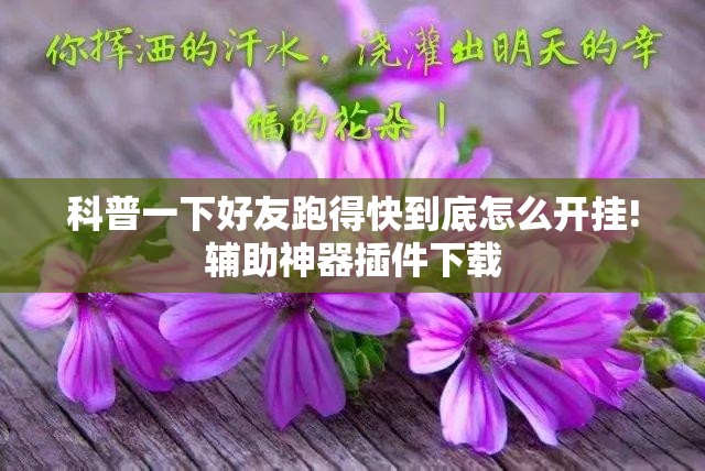 科普一下好友跑得快到底怎么开挂!辅助神器插件下载