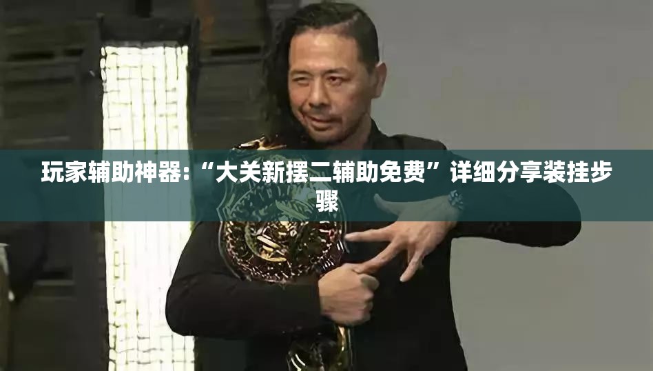 玩家辅助神器:“大关新摆二辅助免费”详细分享装挂步骤
