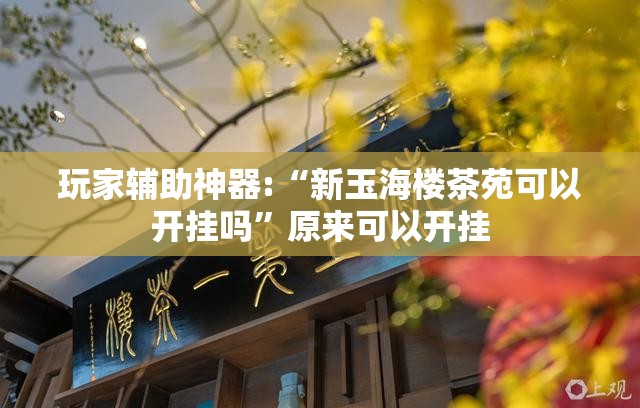 玩家辅助神器:“新玉海楼茶苑可以开挂吗	”原来可以开挂