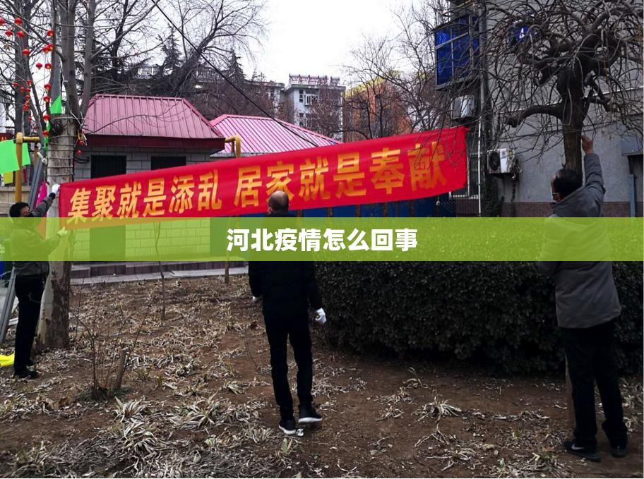 河北疫情怎么回事/河北疫情最新情况2024年 河北疫情怎么回事/河北疫情最新情况2024年