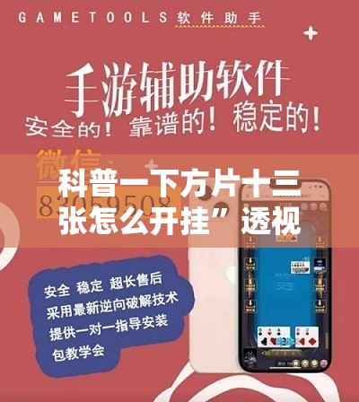 科普一下方片十三张怎么开挂”透视开挂辅助教程