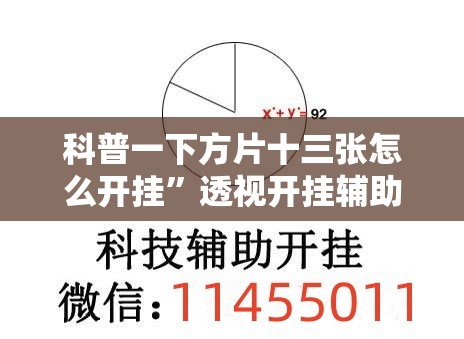 科普一下方片十三张怎么开挂	”透视开挂辅助教程