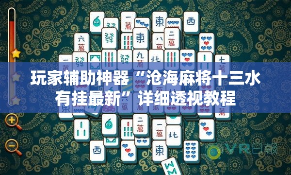 玩家辅助神器“沧海麻将十三水有挂最新	”详细透视教程