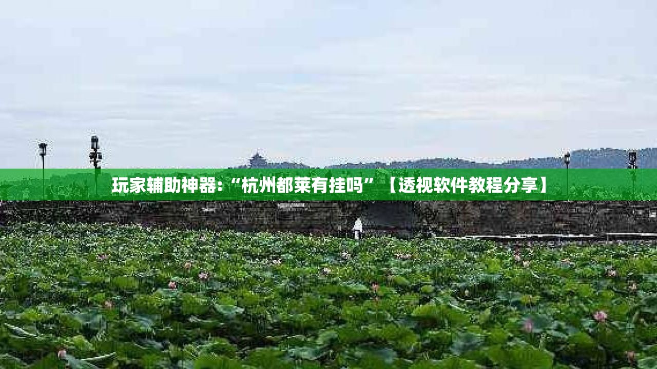 玩家辅助神器:“杭州都莱有挂吗”【透视软件教程分享】