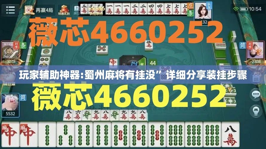玩家辅助神器:蜀州麻将有挂没	”详细分享装挂步骤