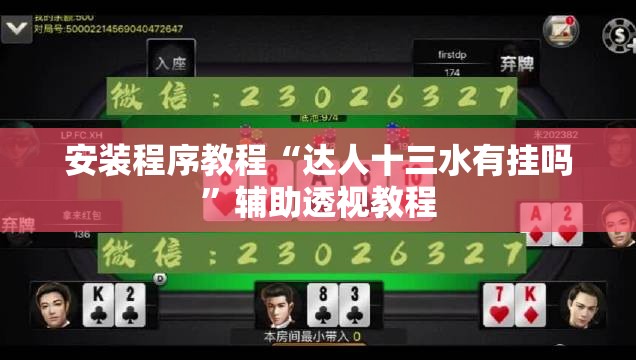安装程序教程“达人十三水有挂吗	”辅助透视教程