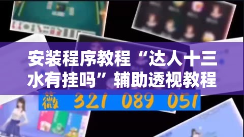 安装程序教程“达人十三水有挂吗”辅助透视教程