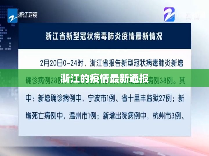 浙江的疫情最新通报(浙江有疫情吗最新通报) 浙江的疫情最新通报(浙江有疫情吗最新通报)