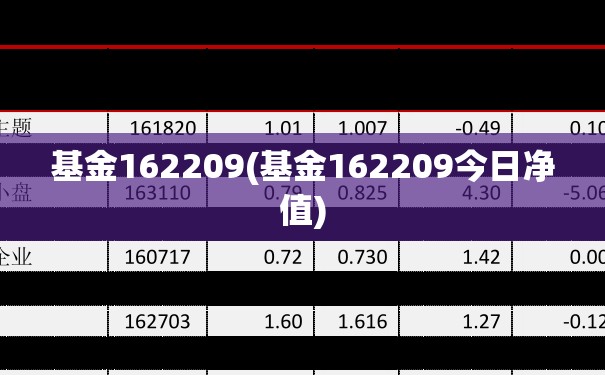 基金162209(基金162209今日净值)
