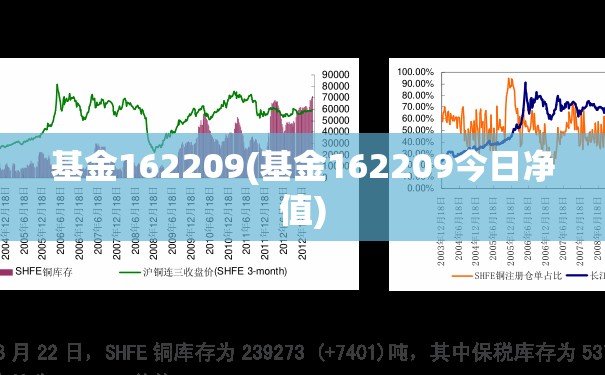 基金162209(基金162209今日净值)