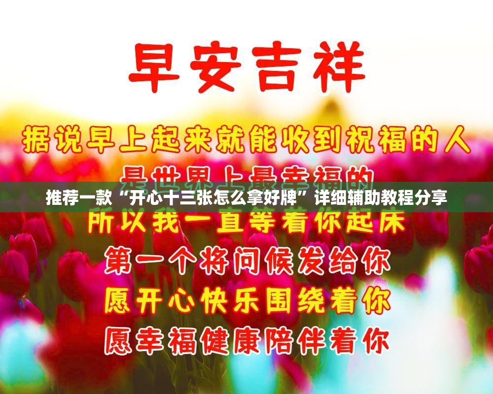 推荐一款“开心十三张怎么拿好牌”详细辅助教程分享