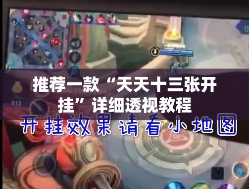 推荐一款“天天十三张开挂”详细透视教程