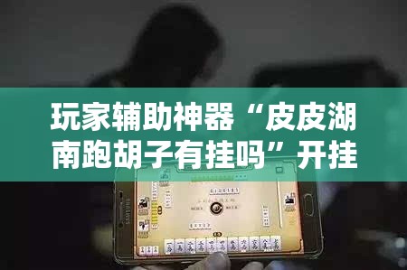玩家辅助神器“皮皮湖南跑胡子有挂吗”开挂辅助透视教程