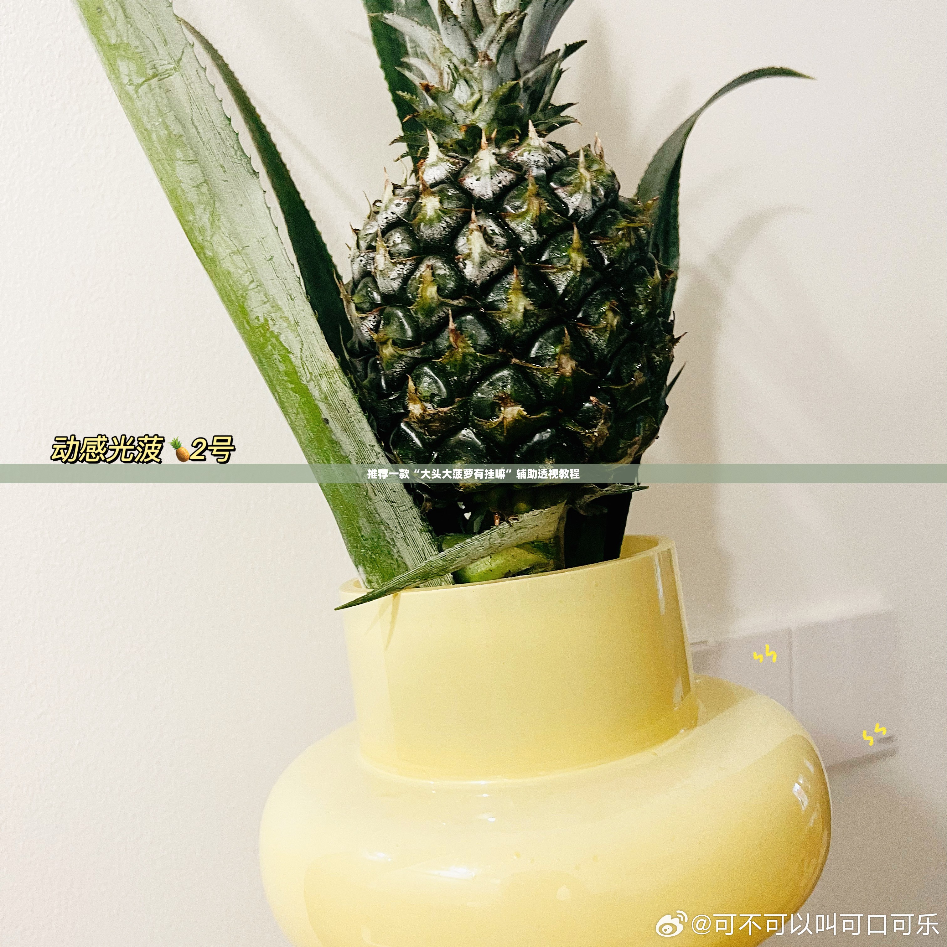 推荐一款“大头大菠萝有挂嘛”辅助透视教程