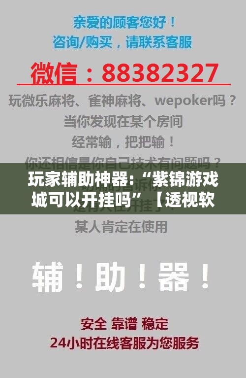 玩家辅助神器:“紫锦游戏城可以开挂吗”【透视软件教程分享】