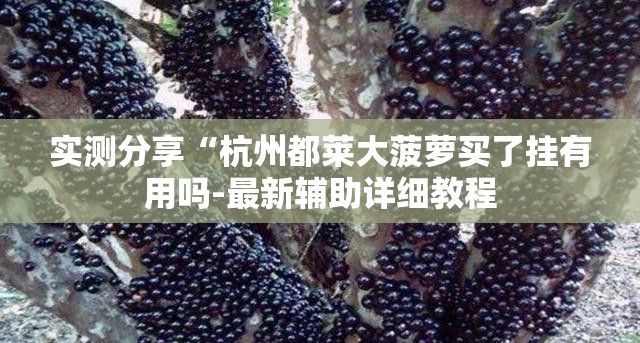 实测分享“杭州都莱大菠萝买了挂有用吗-最新辅助详细教程