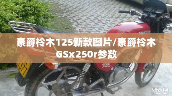 豪爵柃木125新款图片/豪爵柃木GSx250r参数 豪爵柃木125新款图片/豪爵柃木GSx250r参数
