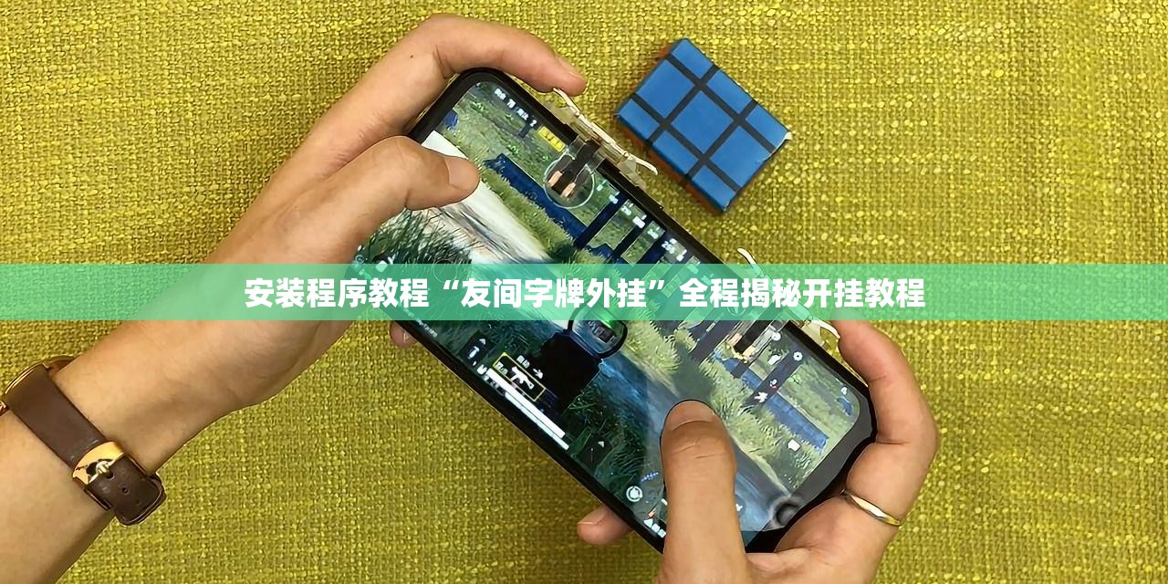 安装程序教程“友间字牌外挂	”全程揭秘开挂教程