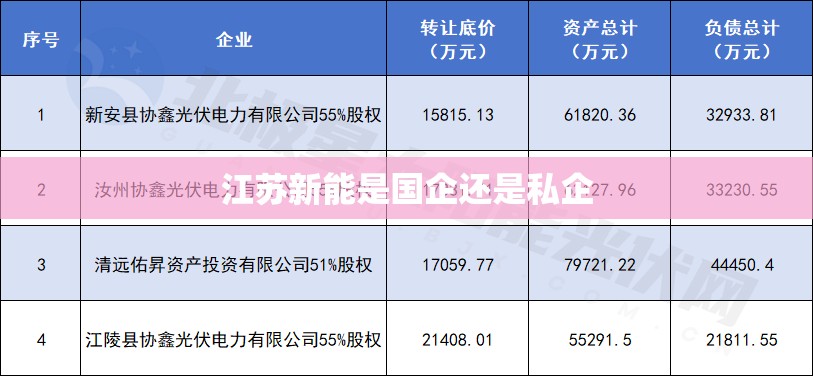 江苏新能是国企还是私企