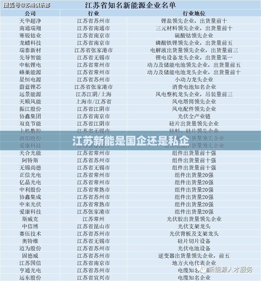 江苏新能是国企还是私企