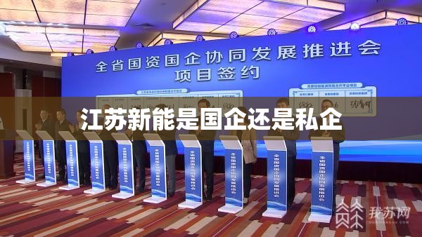 江苏新能是国企还是私企