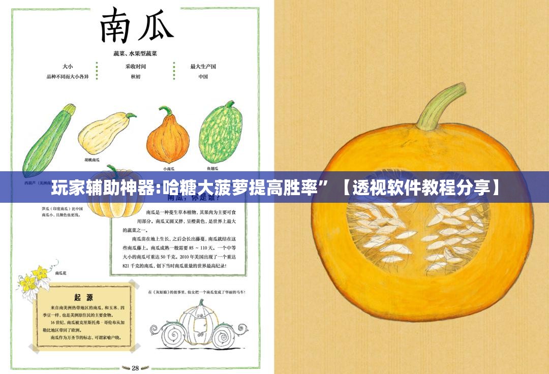 玩家辅助神器:哈糖大菠萝提高胜率	”【透视软件教程分享】
