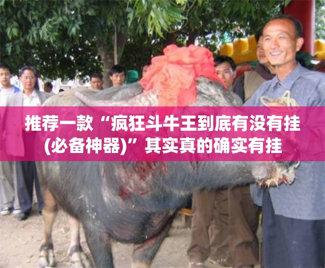 推荐一款“疯狂斗牛王到底有没有挂(必备神器)	”其实真的确实有挂