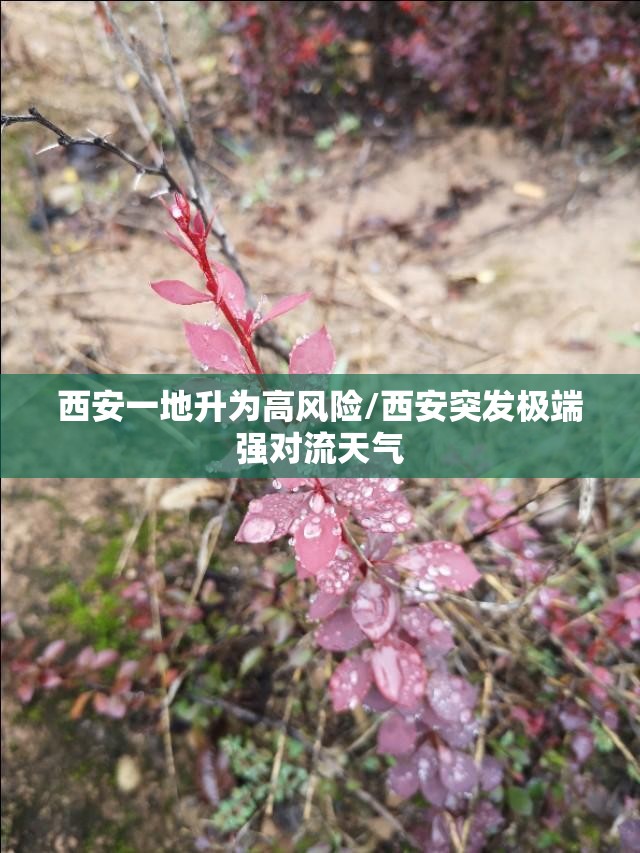 西安一地升为高风险/西安突发极端强对流天气