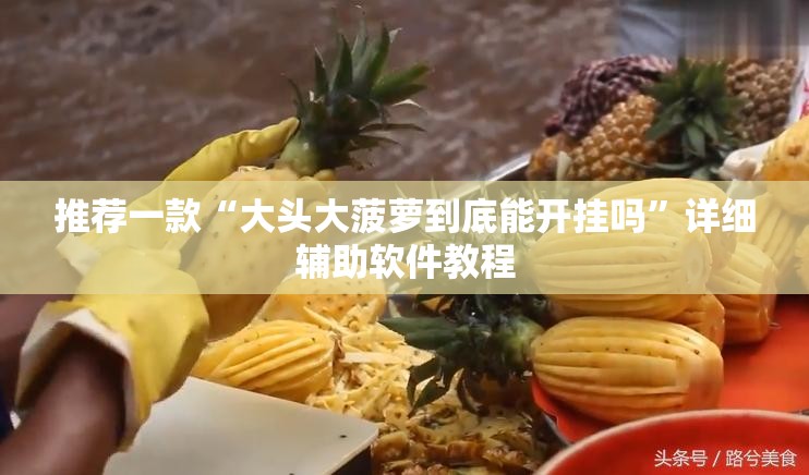 推荐一款“大头大菠萝到底能开挂吗”详细辅助软件教程