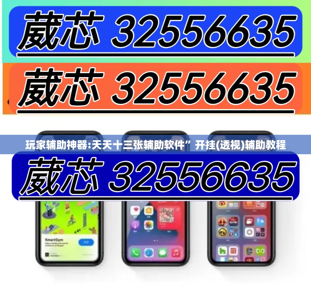 玩家辅助神器:天天十三张辅助软件	”开挂(透视)辅助教程