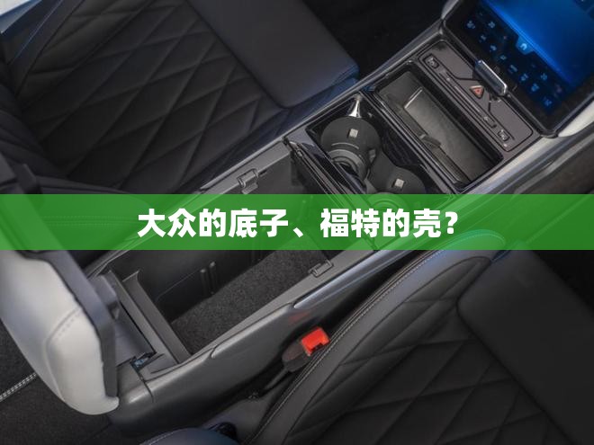 大众的底子	、福特的壳？