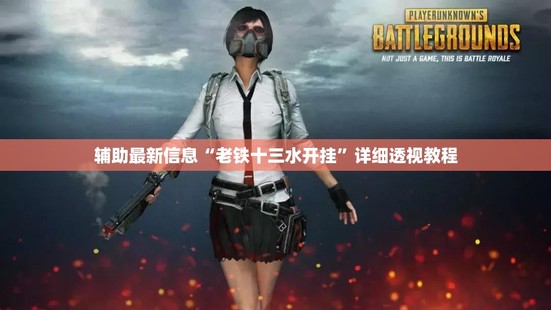 辅助最新信息“老铁十三水开挂”详细透视教程