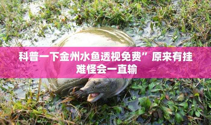 科普一下金州水鱼透视免费	”原来有挂 难怪会一直输