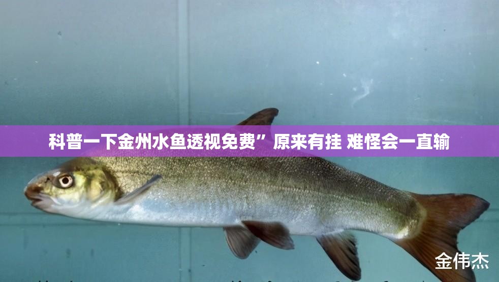 科普一下金州水鱼透视免费”原来有挂 难怪会一直输