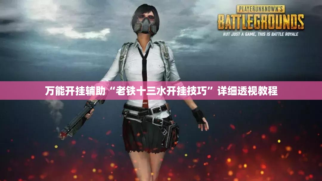 万能开挂辅助“老铁十三水开挂技巧	”详细透视教程