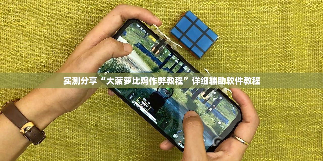 实测分享“大菠萝比鸡作弊教程”详细辅助软件教程
