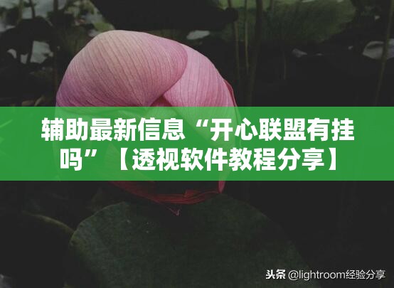 辅助最新信息“开心联盟有挂吗	”【透视软件教程分享】